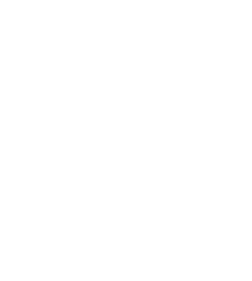 Logo The Herbal Store